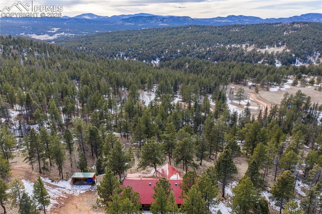 1910 Wildhorn Road Florissant, CO 80816 - Photo 46 of 50