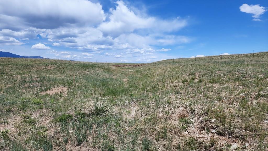 110 County Road 110 Rye, CO 81069 - Photo 12 of 37
