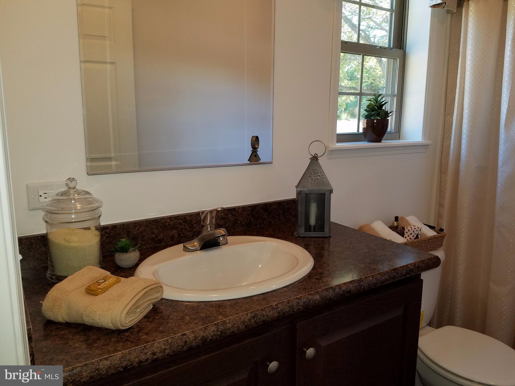 593 Ragan Road Conowingo, MD 21918 - Photo 14 of 23 Bath (Master)