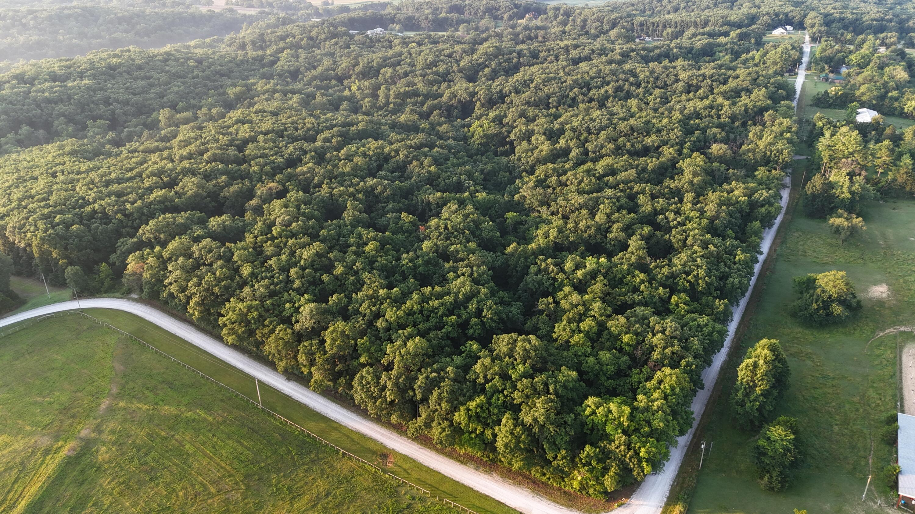 North Simms Road Sturgeon, MO 65284 - Photo 2 of 8