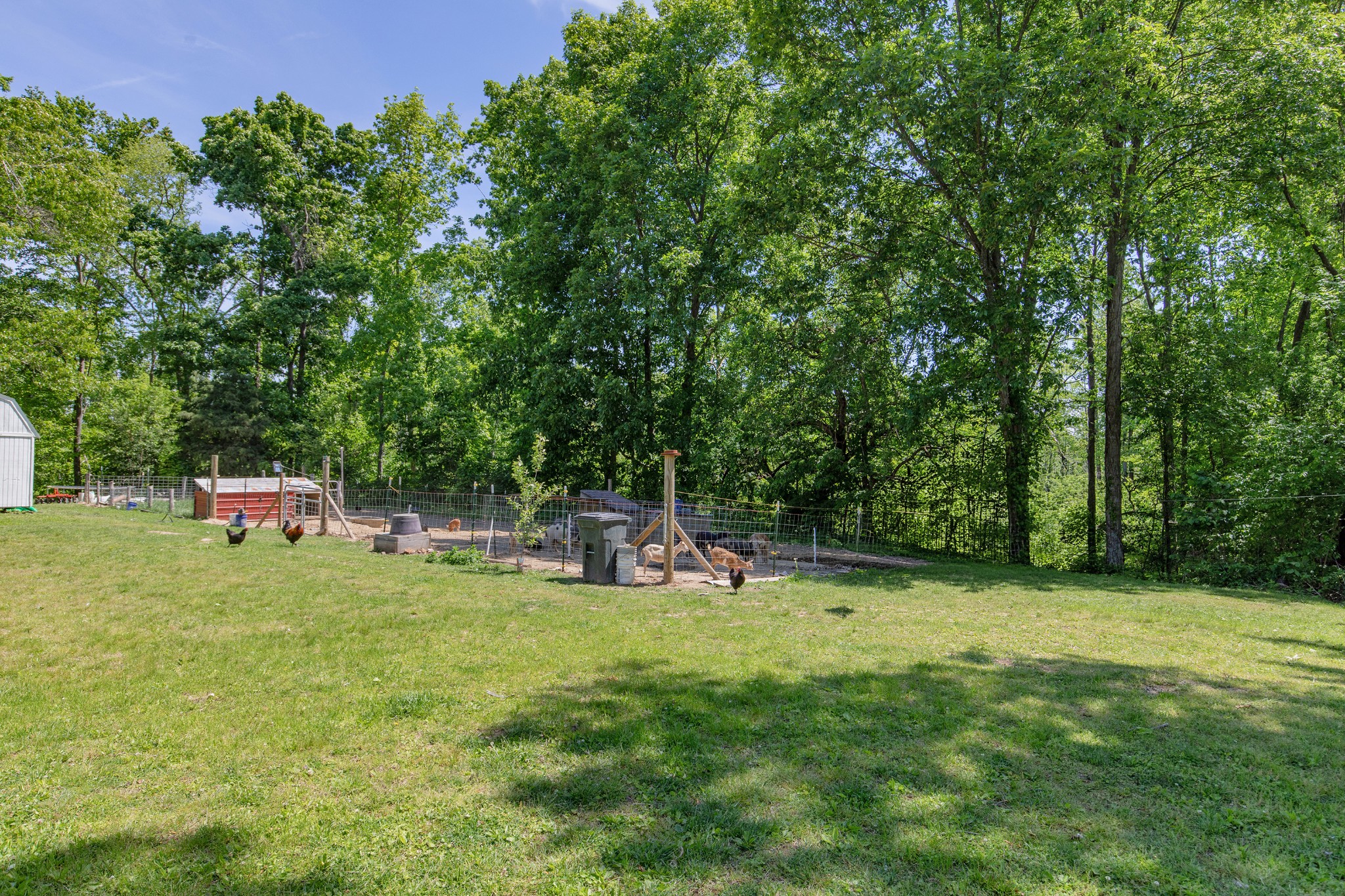 2976 Shrum Cemetery Road Westmoreland, TN 37186 - Photo 55 of 84