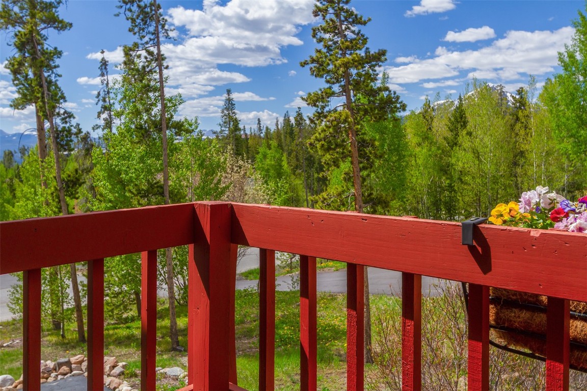 87 Spring Beauty Drive Silverthorne, CO 80498 - Photo 22 of 36 a view of a outdoor space