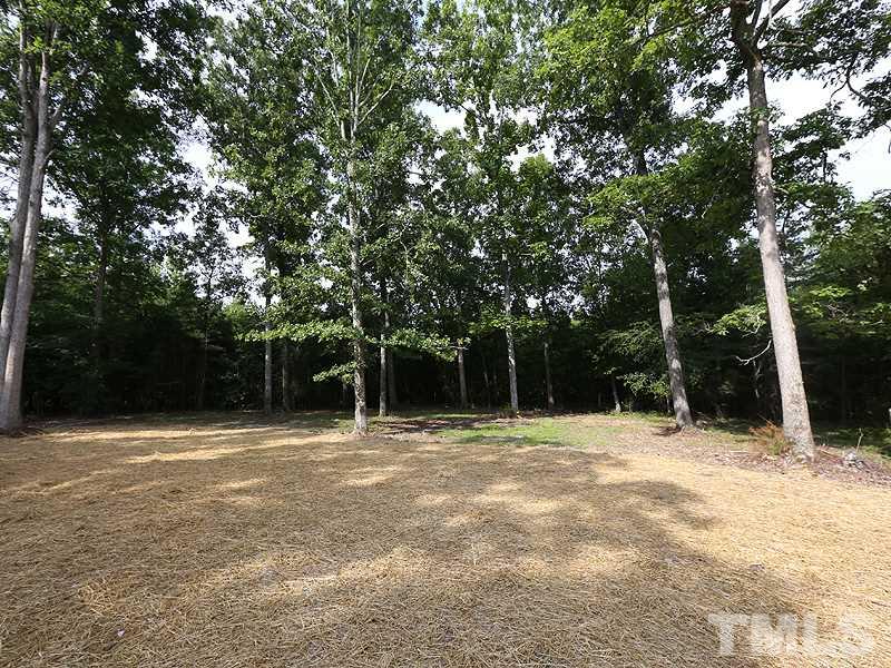 217 Chambers Road Rougemont, NC 27572 - Photo 15 of 19 a backyard of a house with lots of trees