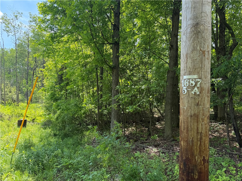 Vl Reed Road Dansville, NY 14437 - Photo 4 of 29