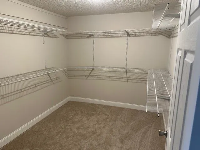 a view of a room with racks on the wall