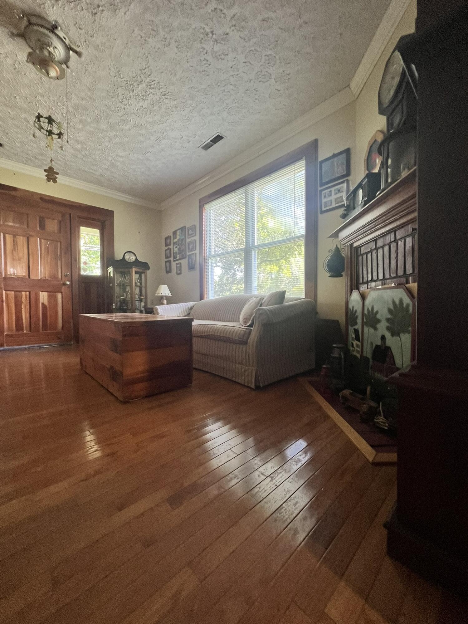 6513 Toogoodoo Road Meggett, SC 29449 - Photo 14 of 30 6513 lr fire place