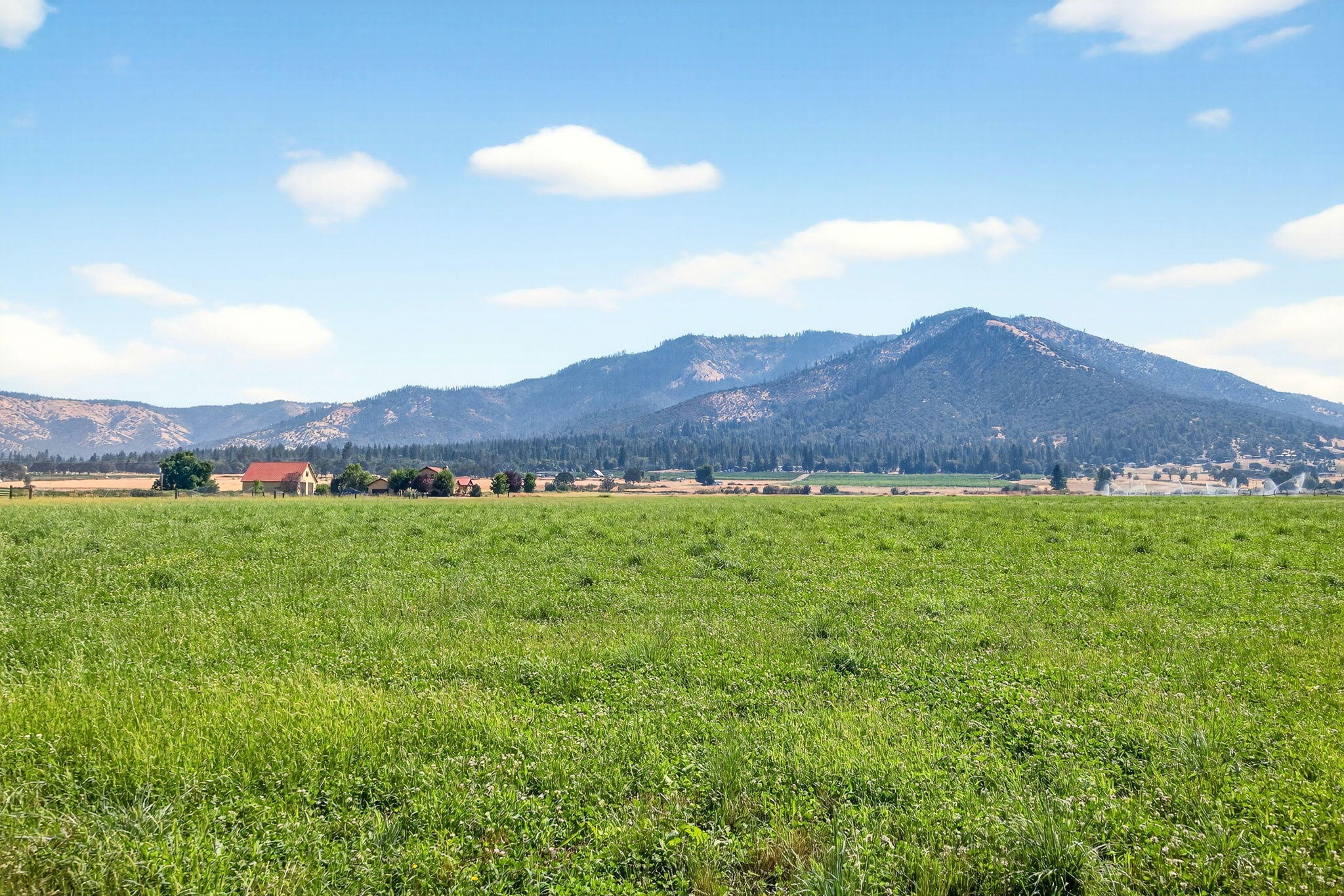 1176 Hamilton Road Jacksonville, OR 97530 - Photo 115 of 125 ApxHR00091