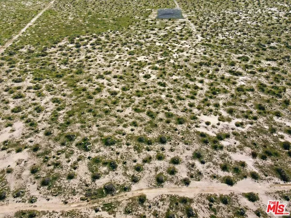 a view of a dry yard