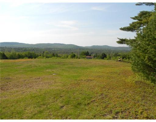 36 Dana Jordan Road Ellsworth, ME 04605 - Photo 5 of 12 Yard/Garden.