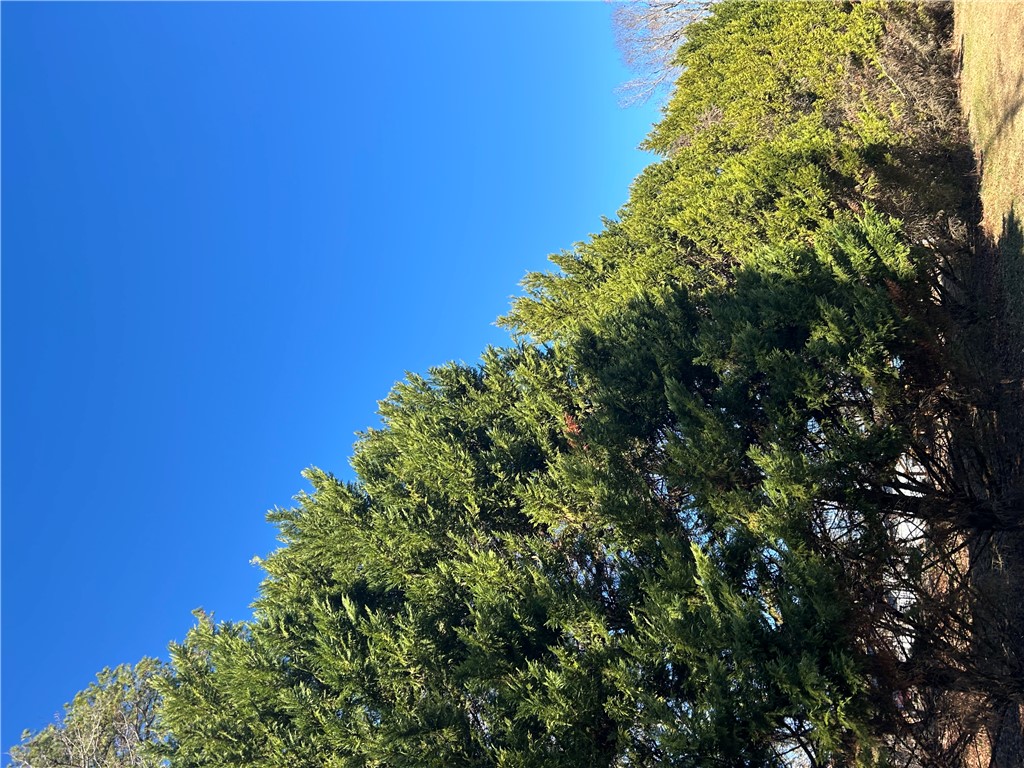 1272 Horseshoe Road Iva, SC 29655 - Photo 18 of 18