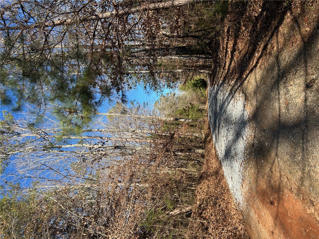 1272 Horseshoe Road Iva, SC 29655 - Photo 4 of 18