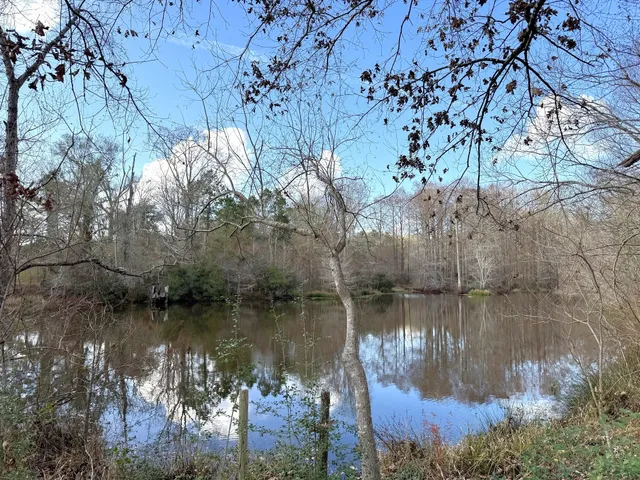 $896,000 | 1471 County Road 4320, Woodville, TX 75979