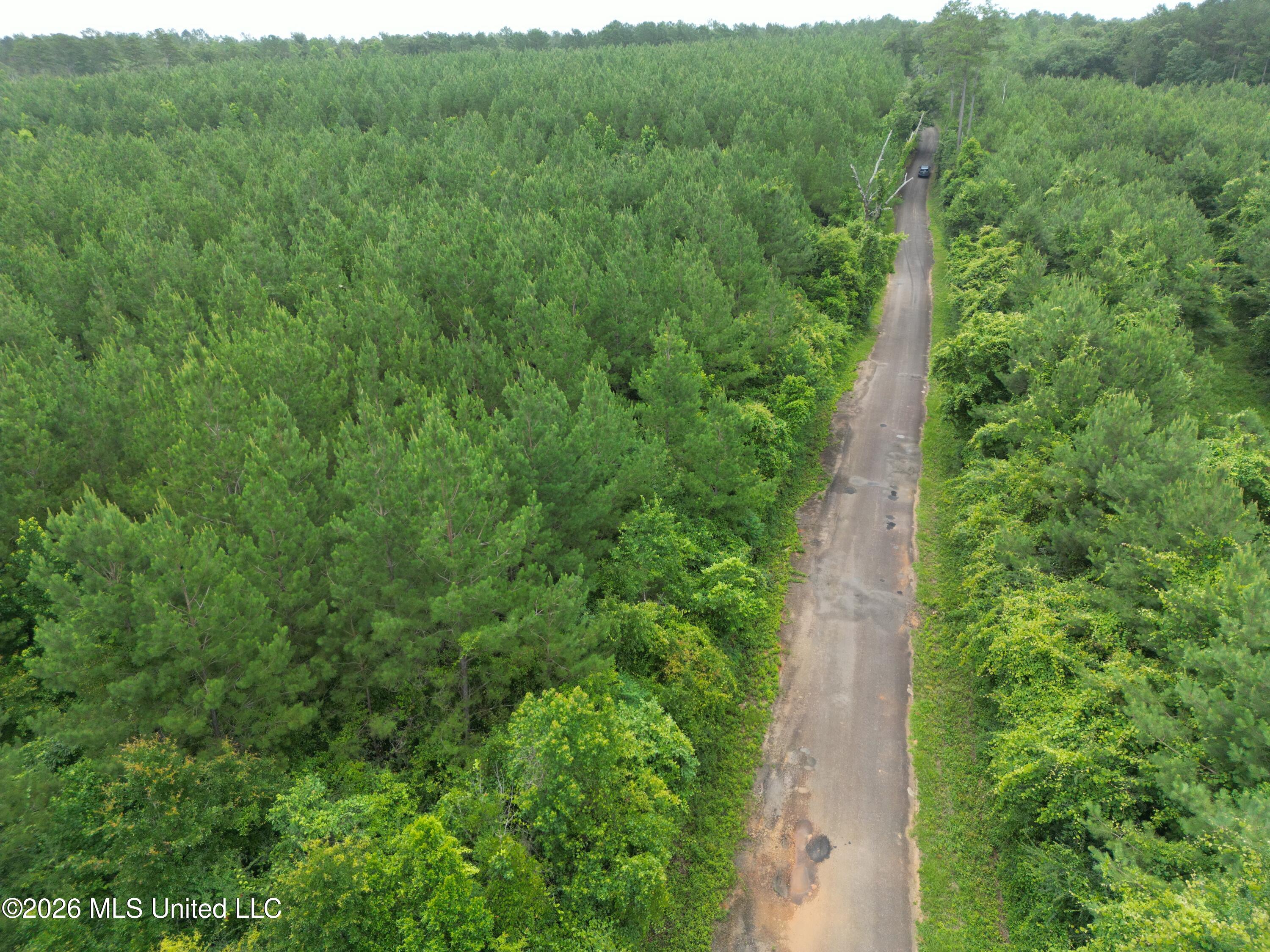 Summit Holmesville Road McComb, MS 39648 - Photo 20 of 29 DJI_0628