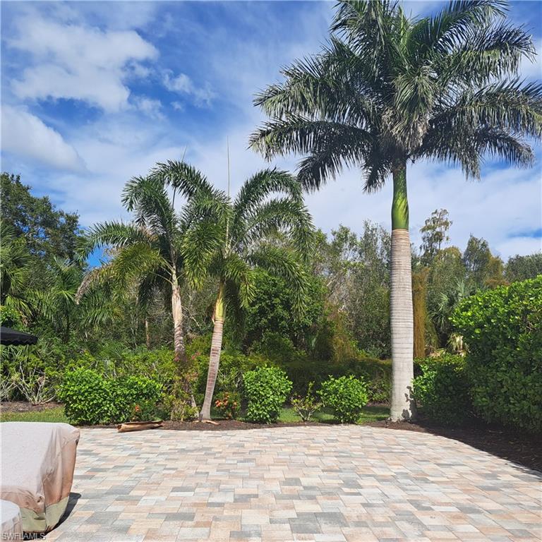 4983 Coach Lane Naples, FL 34114 - Photo 4 of 12 a plant on the side of a road