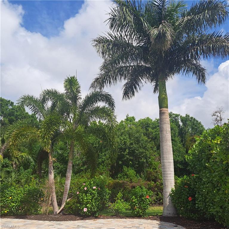 4983 Coach Lane Naples, FL 34114 - Photo 10 of 12 a view of a yard