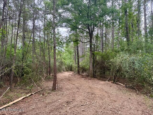 Mt Herman Road Osyka, MS 39657 - Photo 15 of 53 IMG_5385