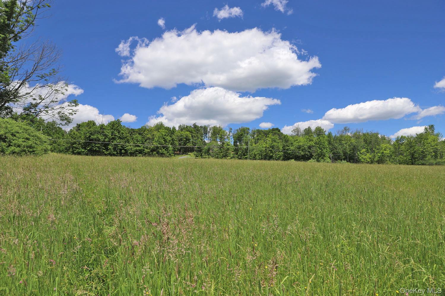 Dietz Road Callicoon Center, NY 12724 - Photo 16 of 24 Meadow to treeline
