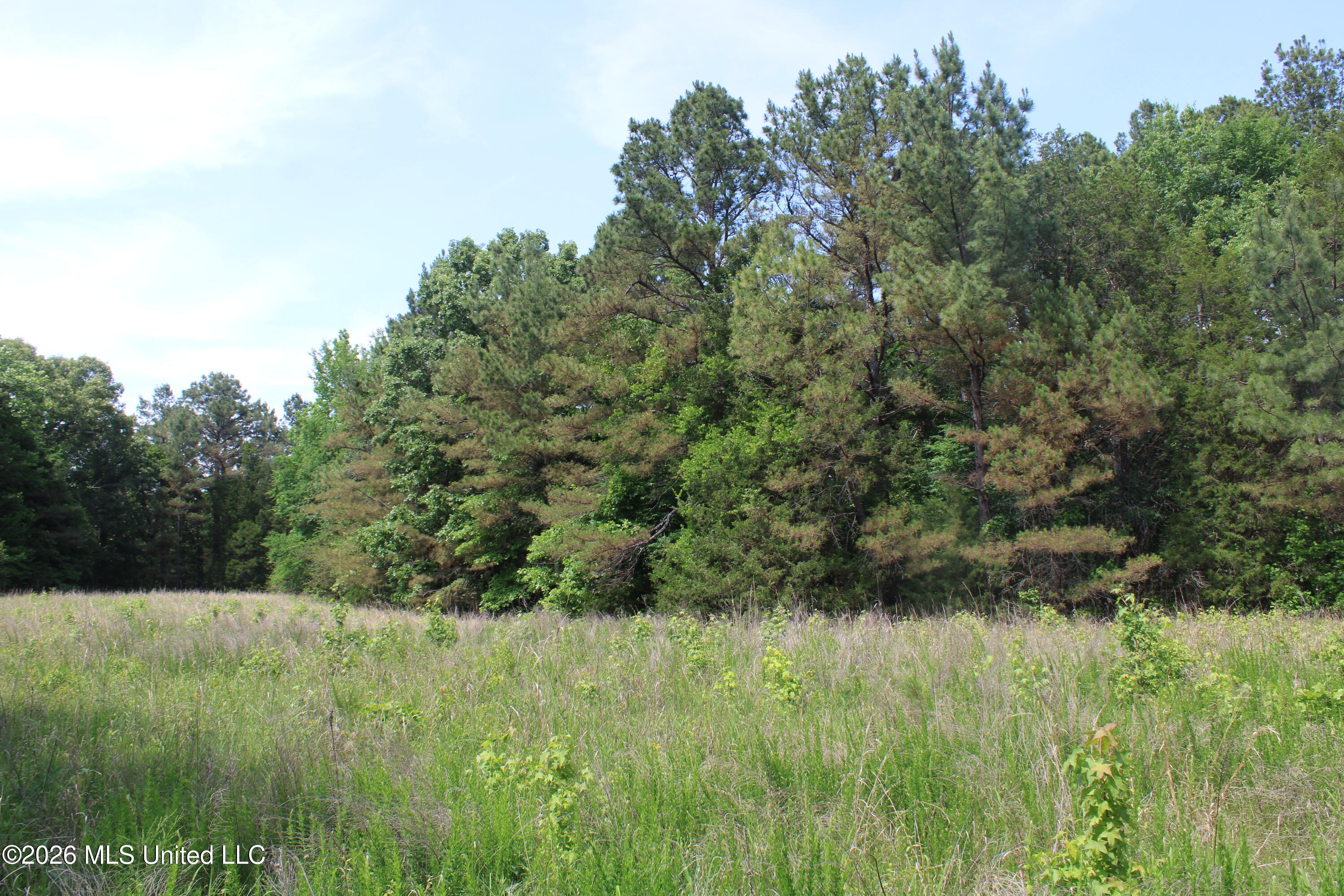 500 Boswell Road Holly Springs, MS 38635 - Photo 17 of 23 IMG_7804