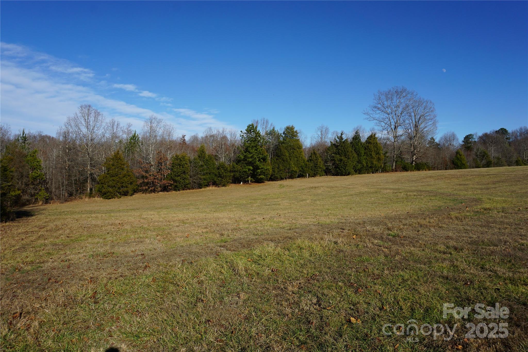 Lot B Ramah Church Road Blacksburg, SC 29702 - Photo 3 of 10 a view of a field with trees in the background