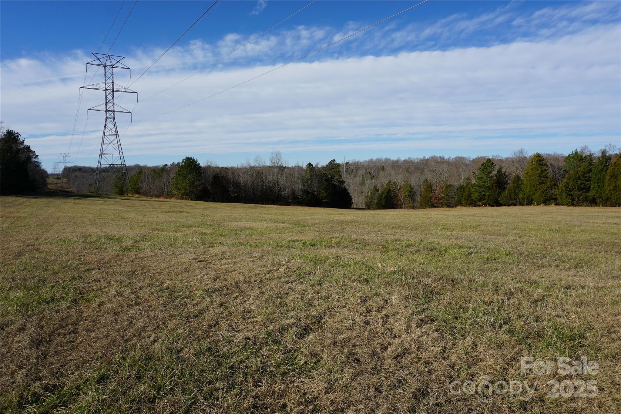 Lot B Ramah Church Road Blacksburg, SC 29702 - Photo 6 of 10 a view of a field with an ocean in background