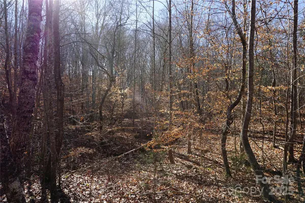 $234,000 | 13-ac Ramah Church Road, Unit LOT B, Blacksburg, SC 29702