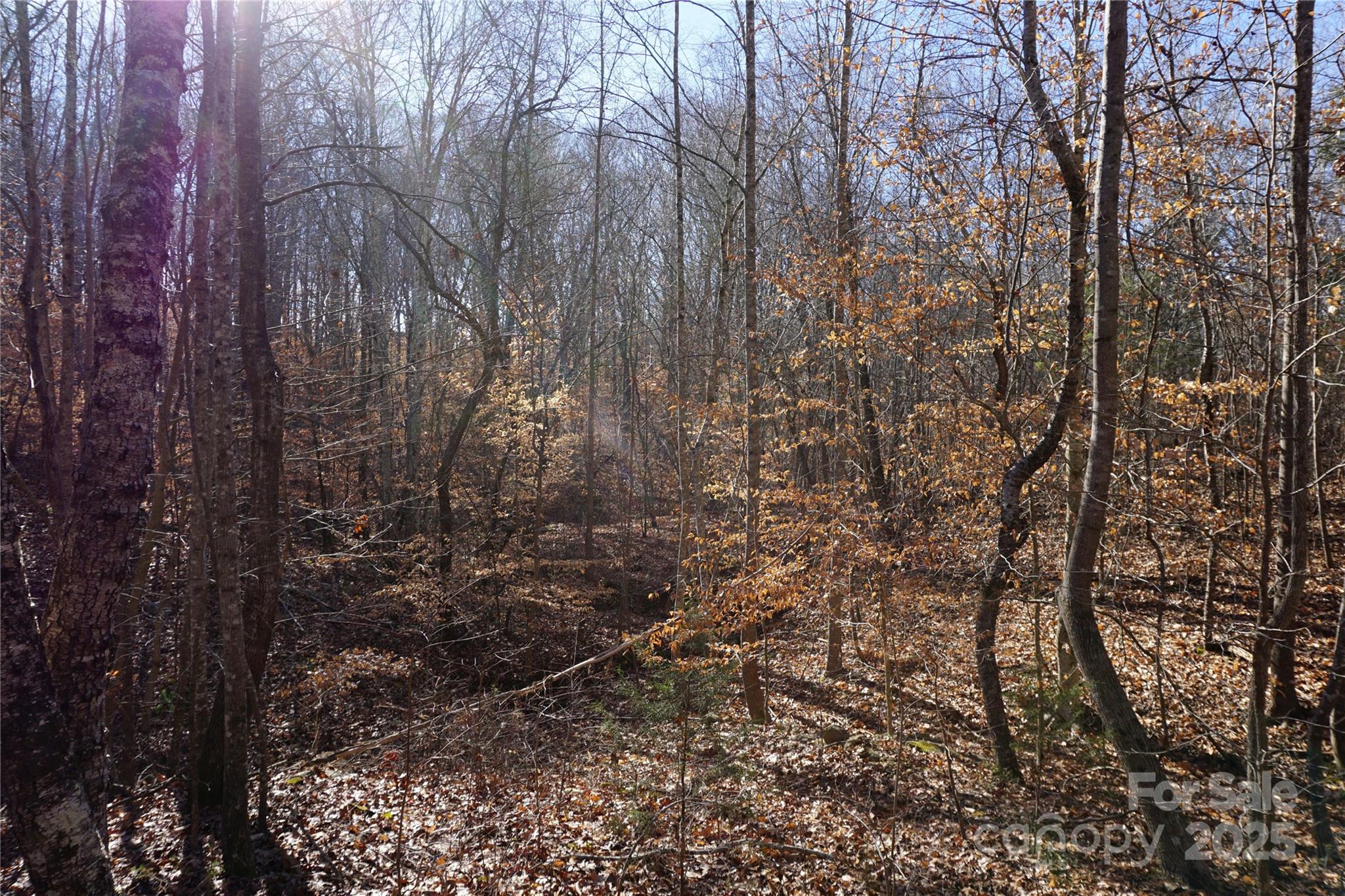 Lot B Ramah Church Road Blacksburg, SC 29702 - Photo 10 of 10 a view of a yard