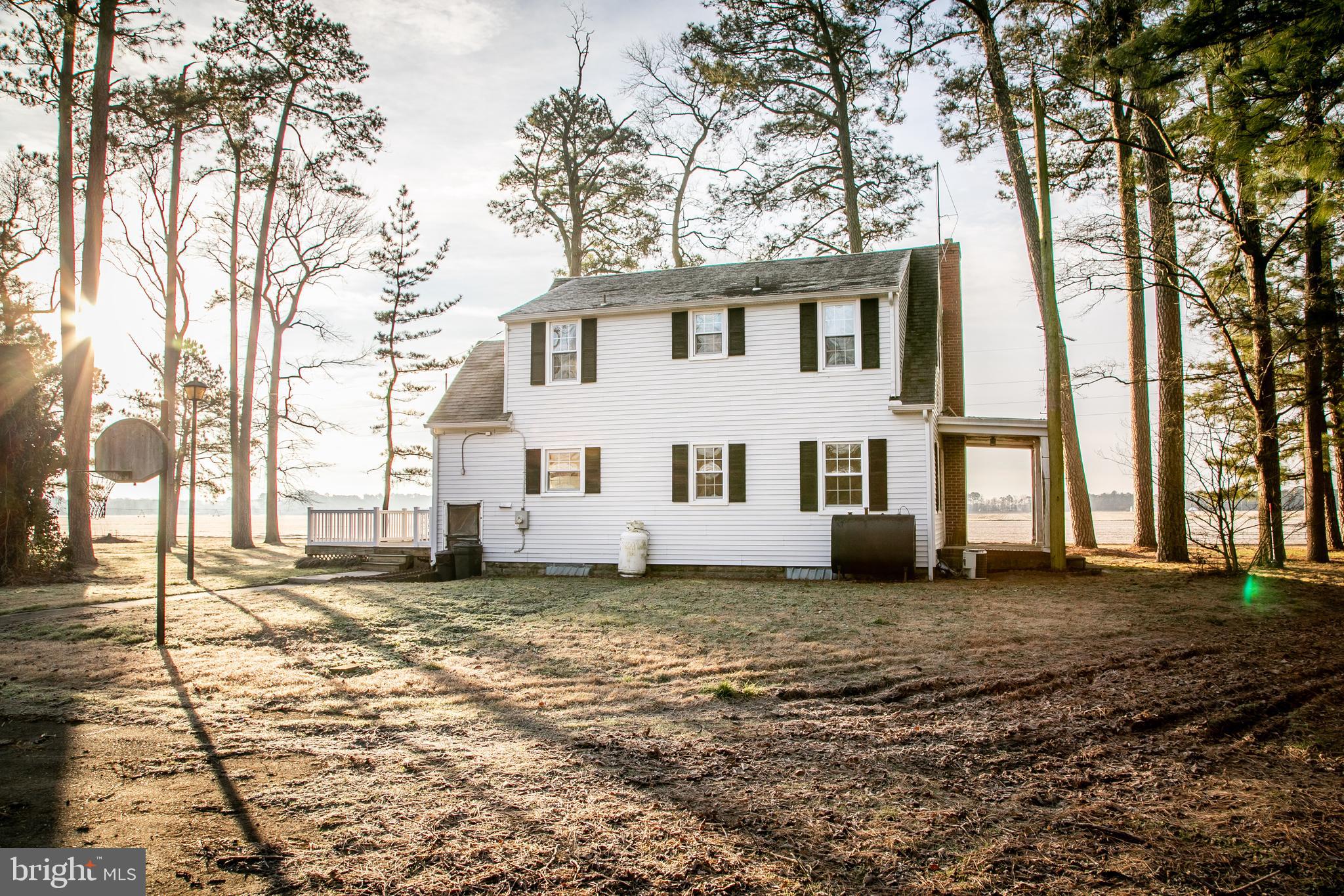 35948 Richland Road Willards, MD 21874 - Photo 41 of 45