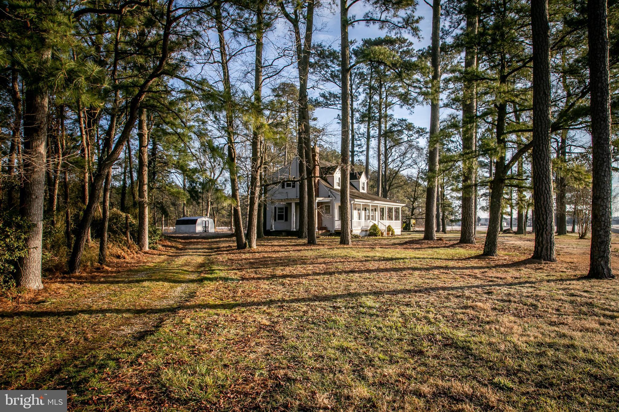 35948 Richland Road Willards, MD 21874 - Photo 45 of 45