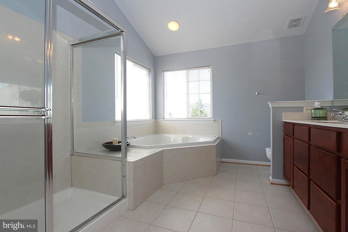 14333 Ashleigh Greene Road Boyds, MD 20841 - Photo 20 of 29 Bath (Master)