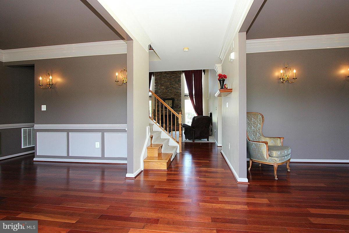 Interior (General)
