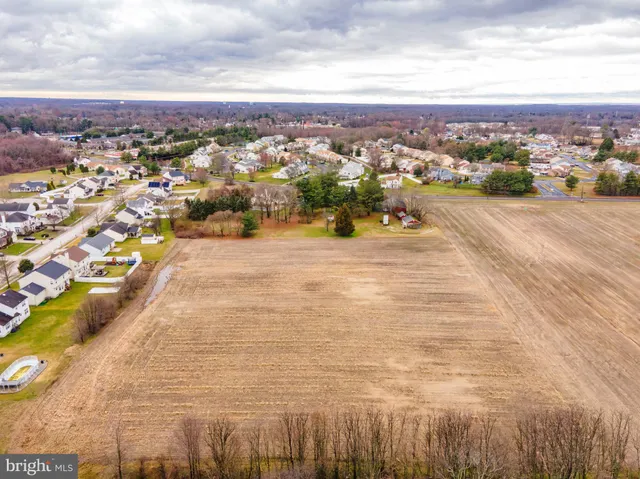 a view of street with large tree