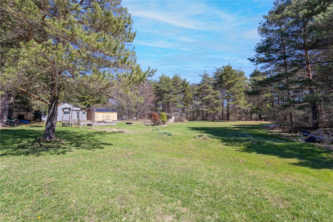 809 Schad Road Bennington, NY 14004 - Photo 19 of 31