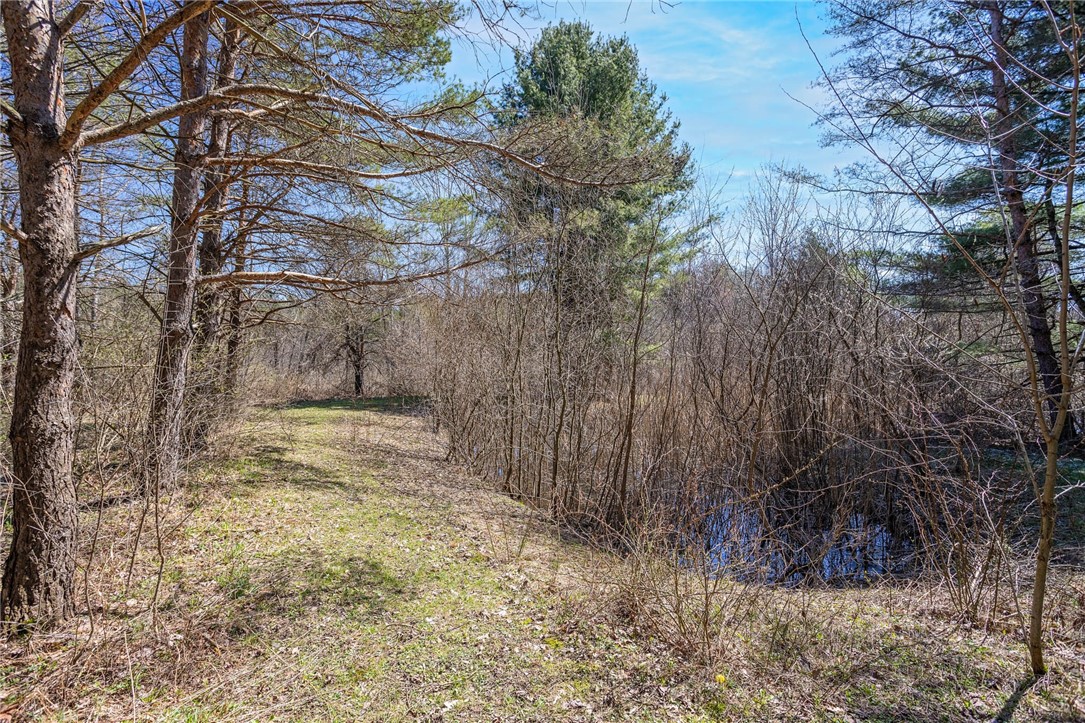 809 Schad Road Bennington, NY 14004 - Photo 22 of 31