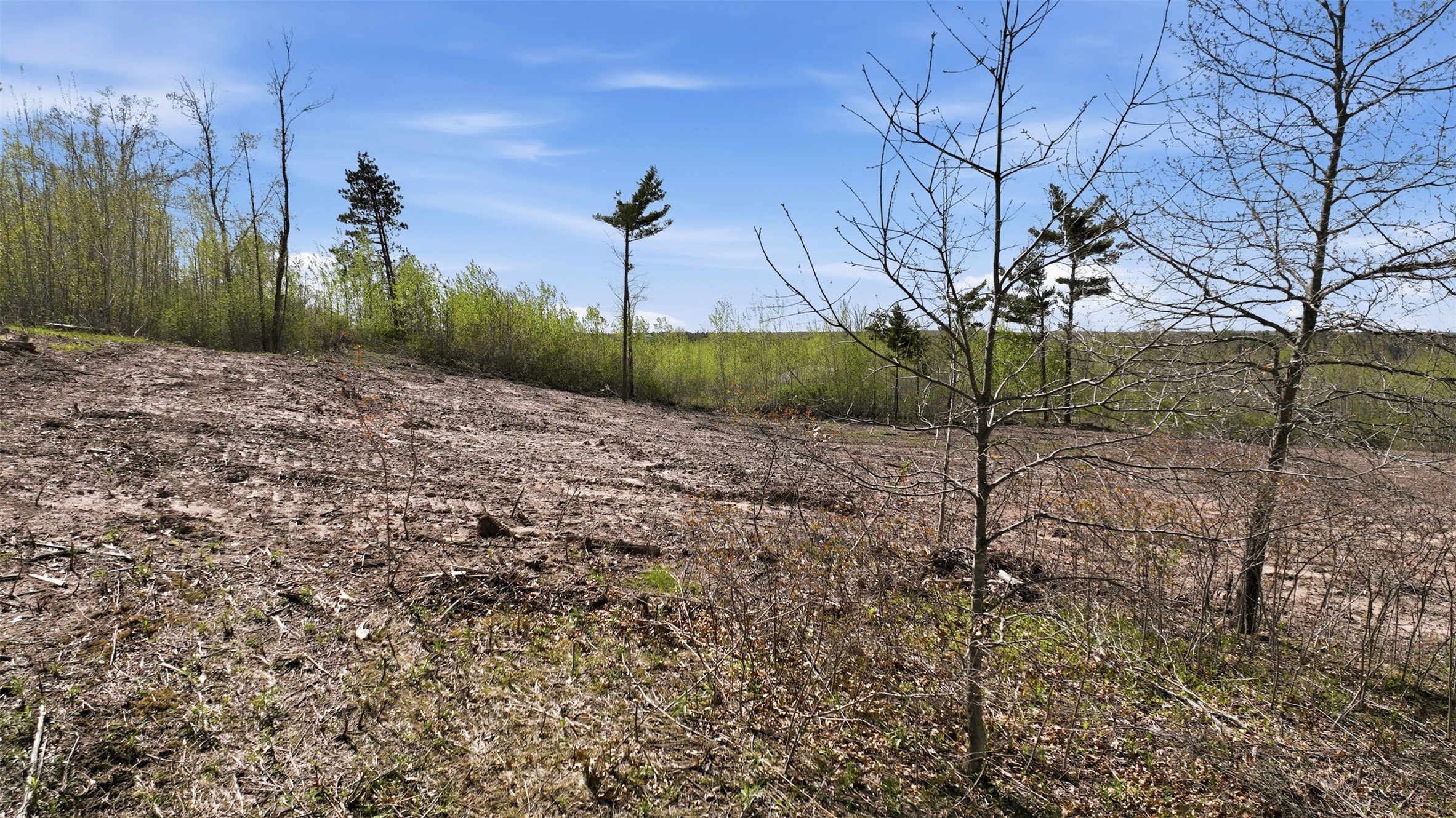 Lot 2 25th Street Chetek, WI 54728 - Photo 15 of 17