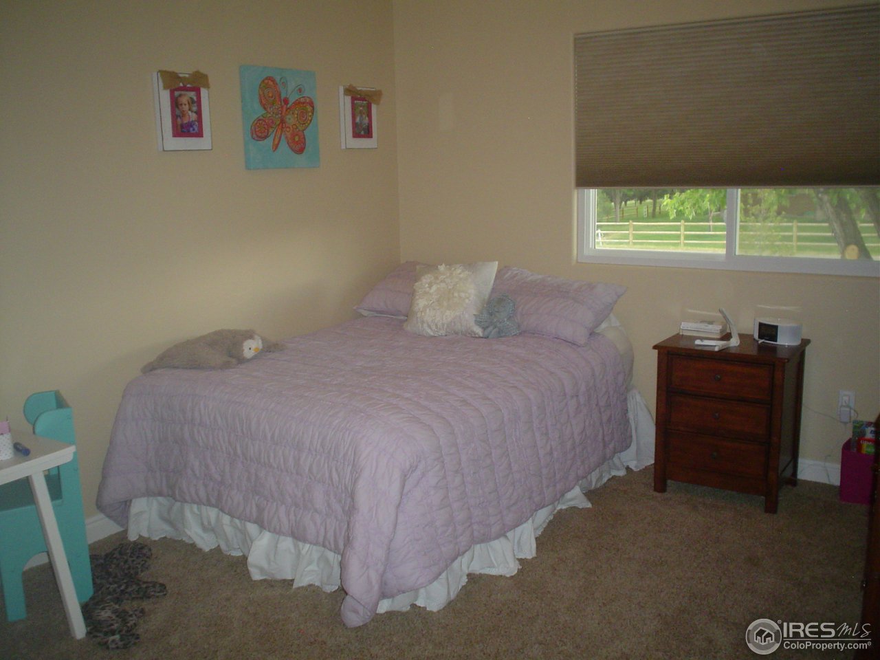 9231 Apache Road Longmont, CO 80504 - Photo 15 of 25 2nd bedroom