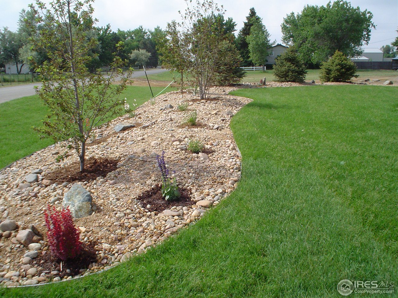 9231 Apache Road Longmont, CO 80504 - Photo 18 of 25 Berms have drip irrigation on timers