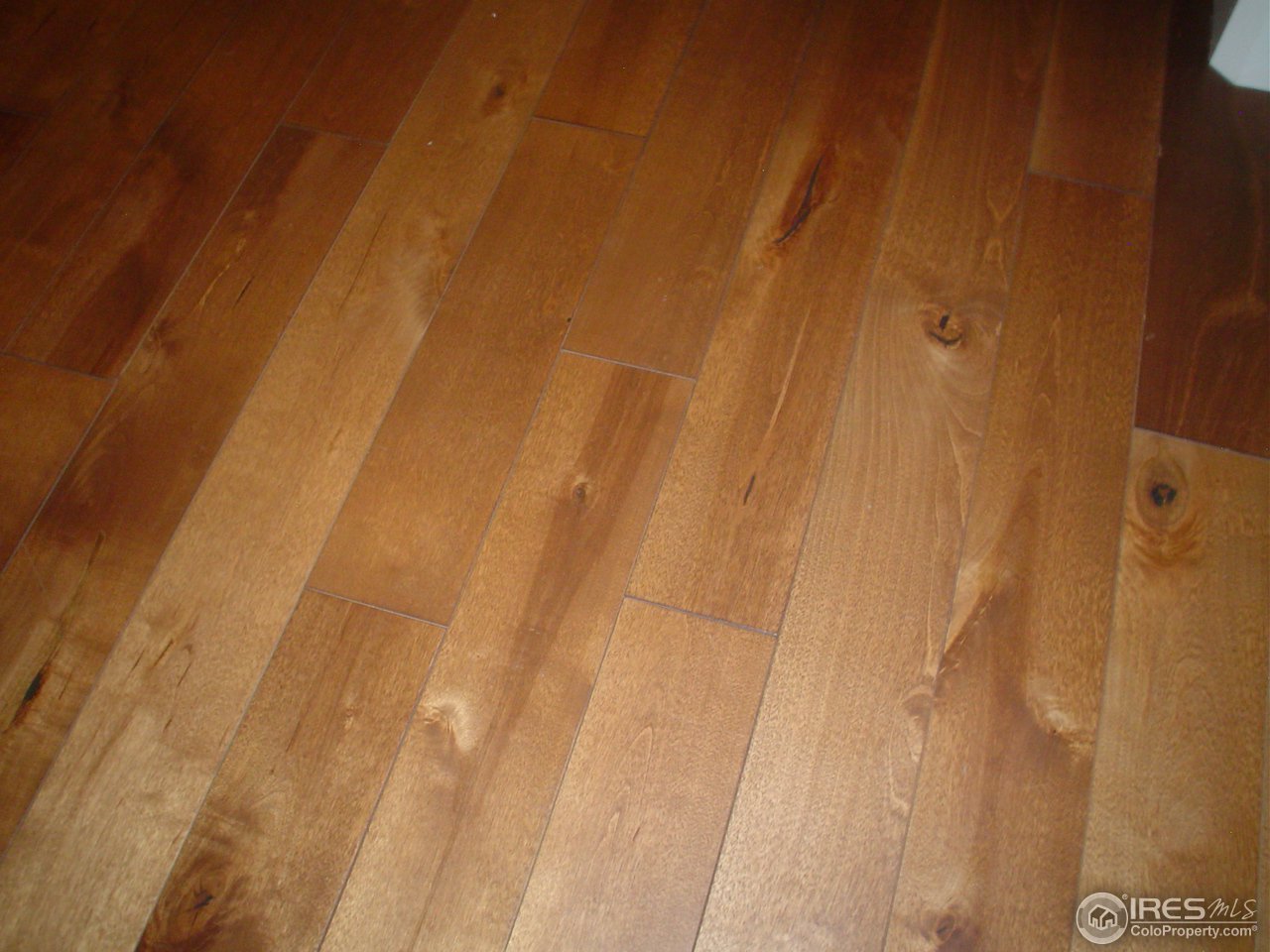 9231 Apache Road Longmont, CO 80504 - Photo 8 of 25 Solid birch hardwood floors