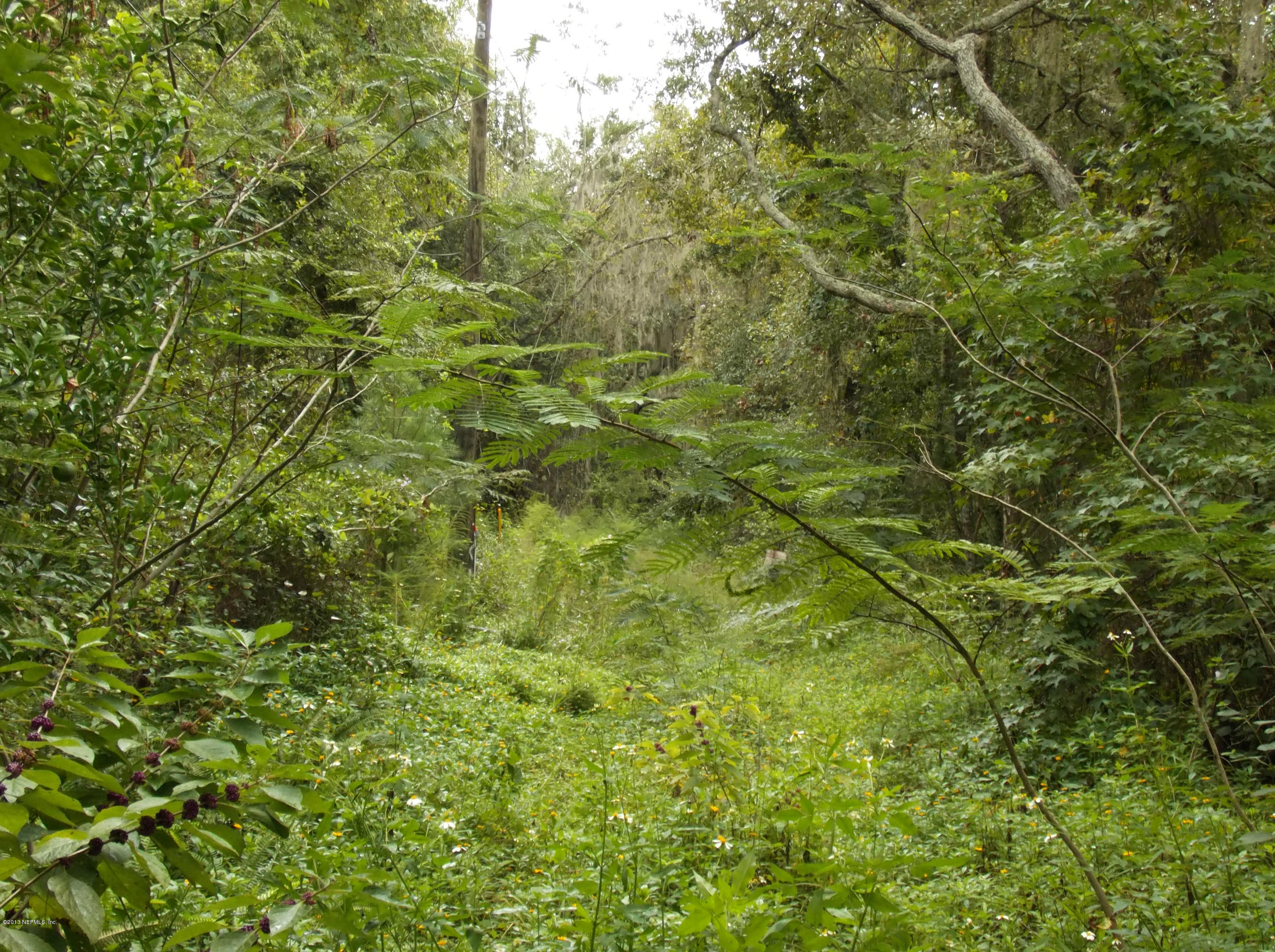 8486 Palmo Fish Camp Road St. Augustine, FL 32092 - Photo 1 of 1 palmo