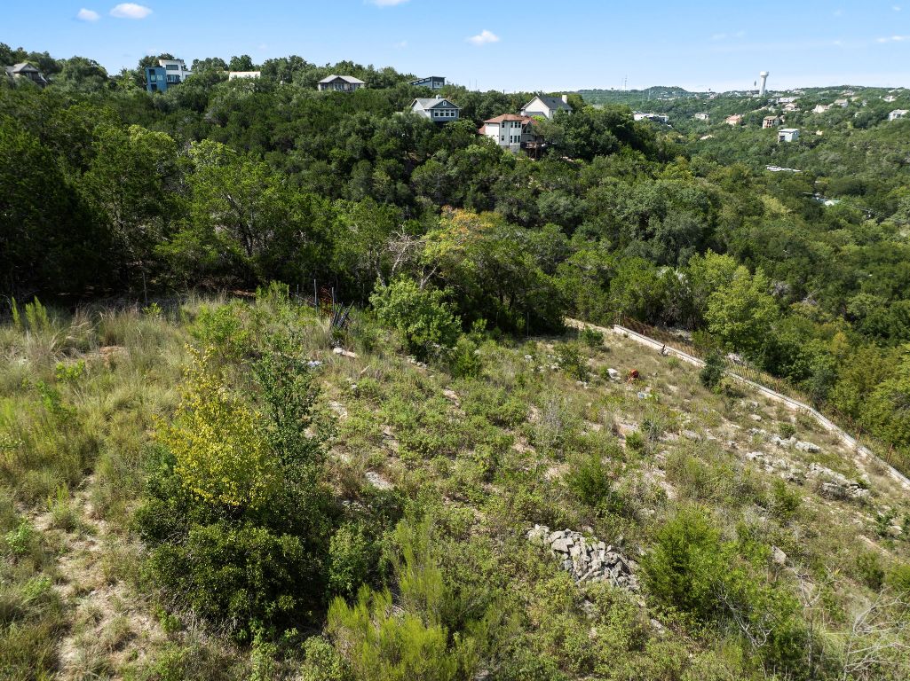 2314 Little Beaver Trail Austin, TX 78734 - Photo 3 of 39 a view of a lush green forest with lots of trees