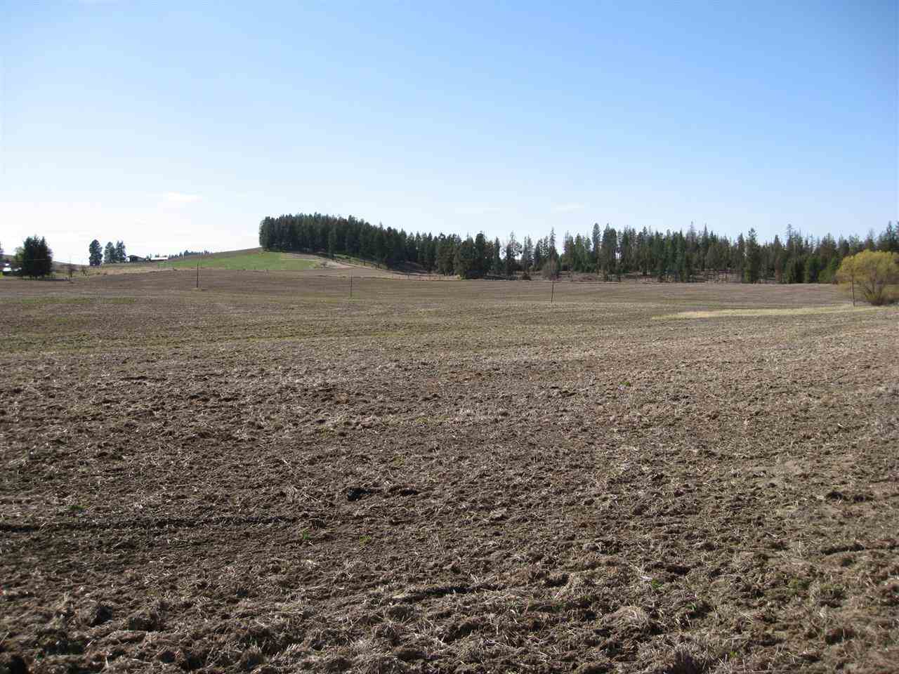 68-xx East Bernhill Road Colbert, WA 99005 - Photo 11 of 11