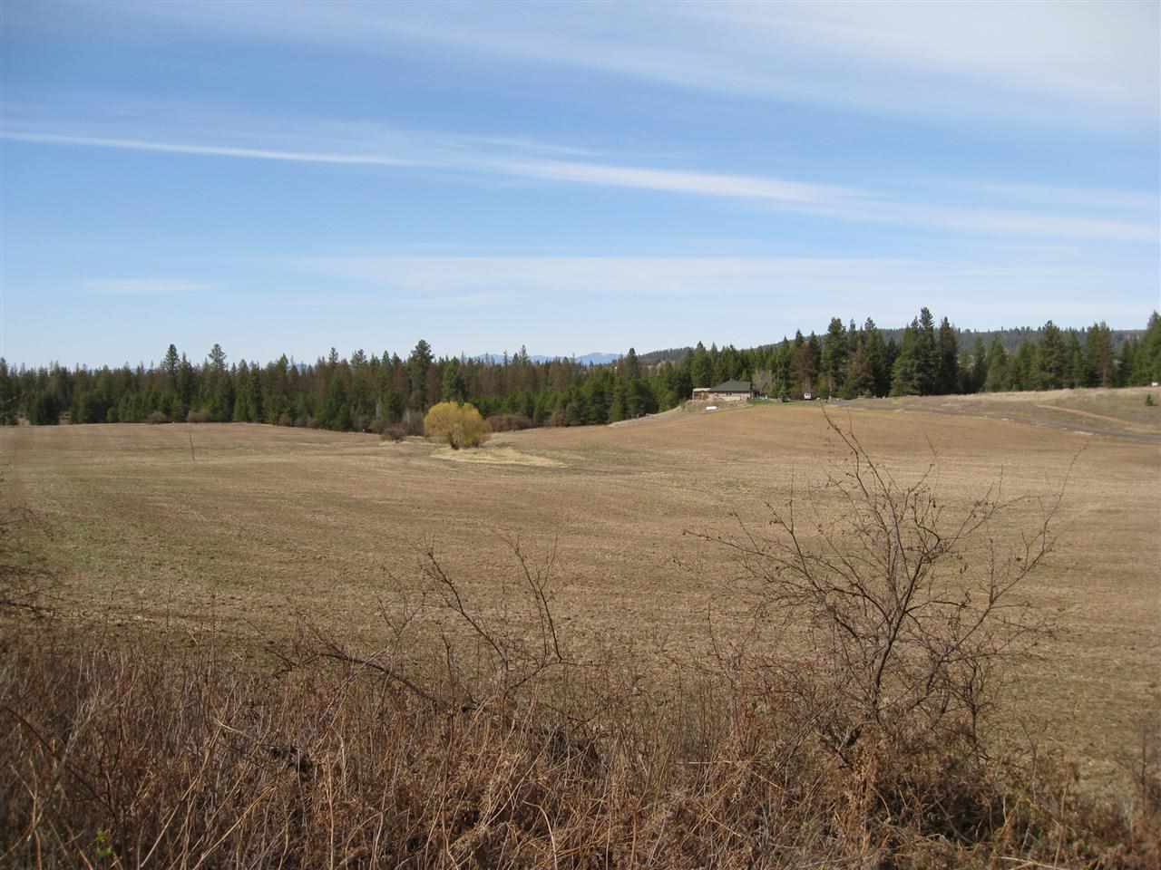 68-xx East Bernhill Road Colbert, WA 99005 - Photo 3 of 11