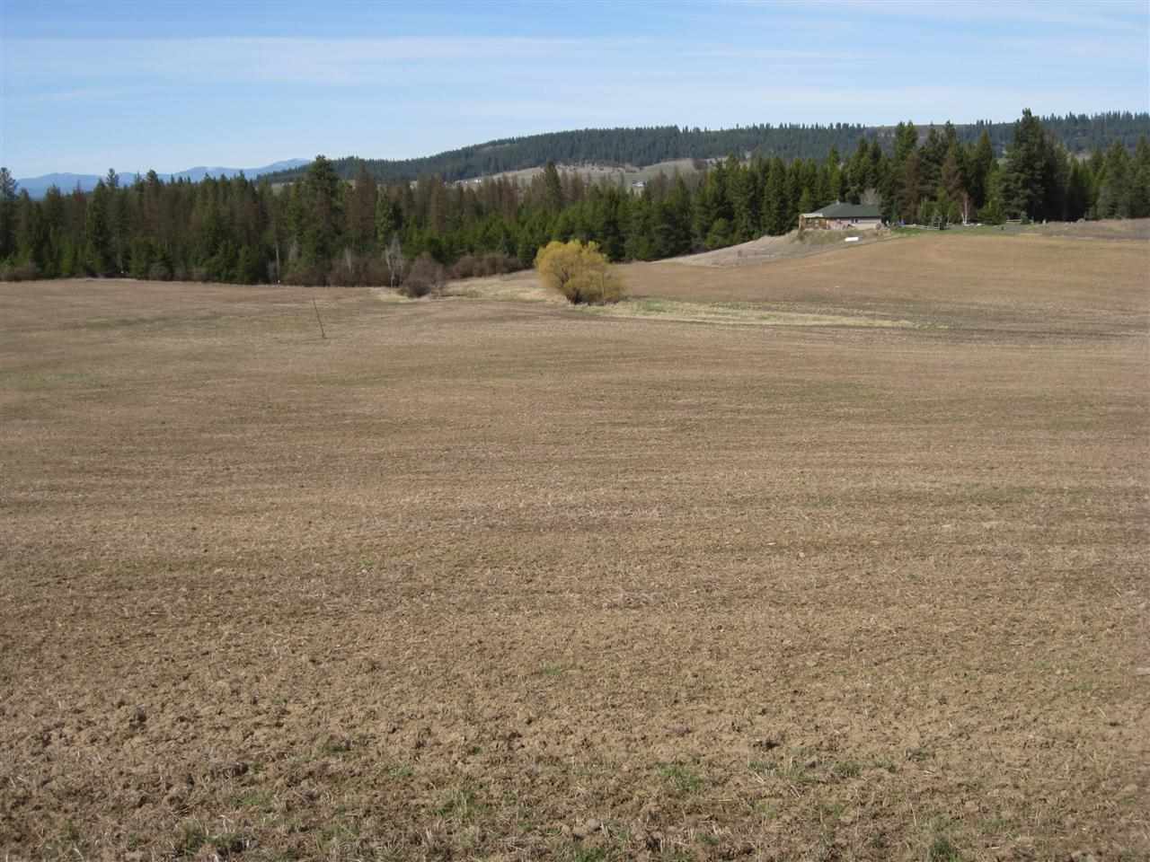 68-xx East Bernhill Road Colbert, WA 99005 - Photo 4 of 11