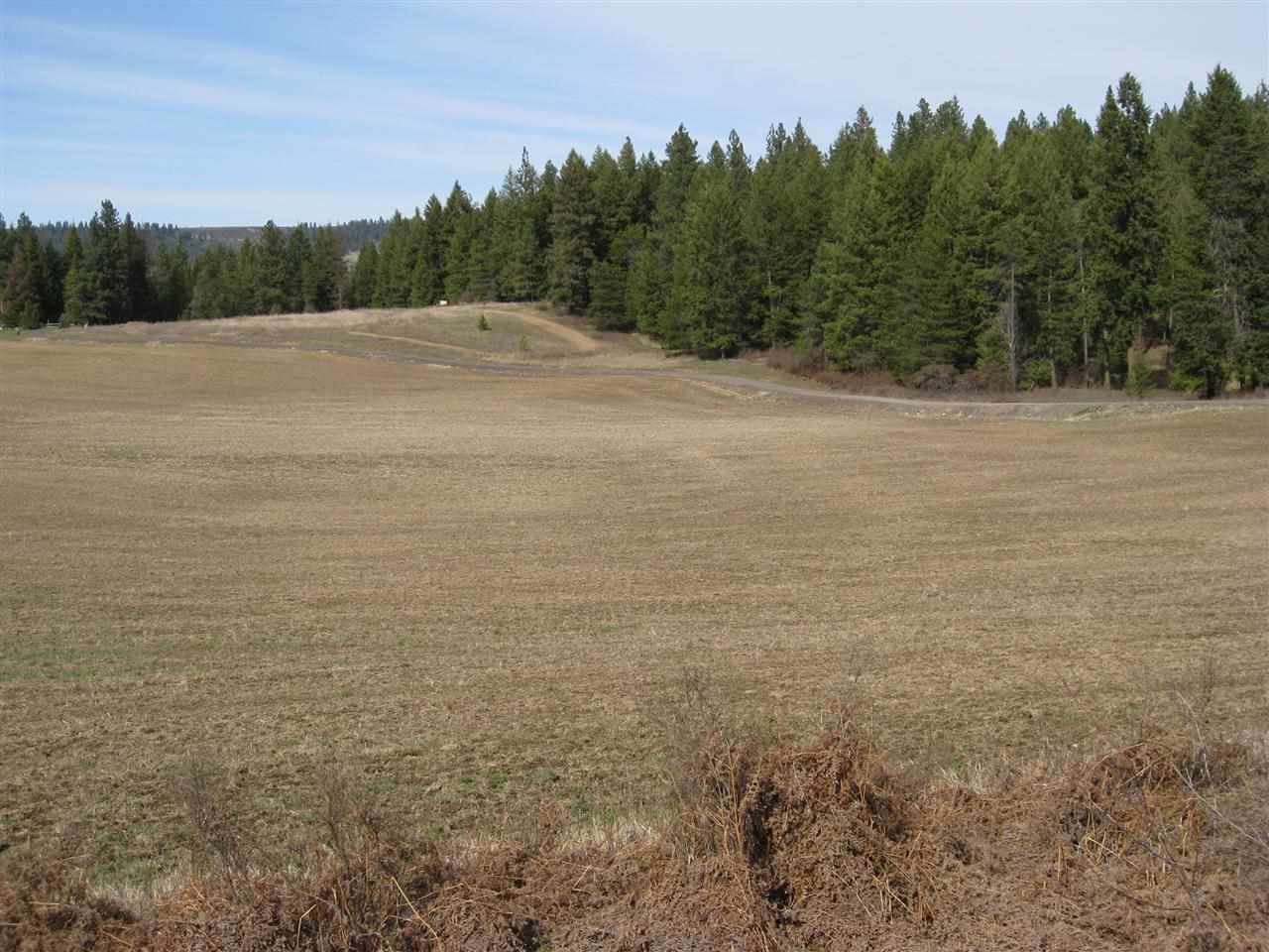 68-xx East Bernhill Road Colbert, WA 99005 - Photo 5 of 11