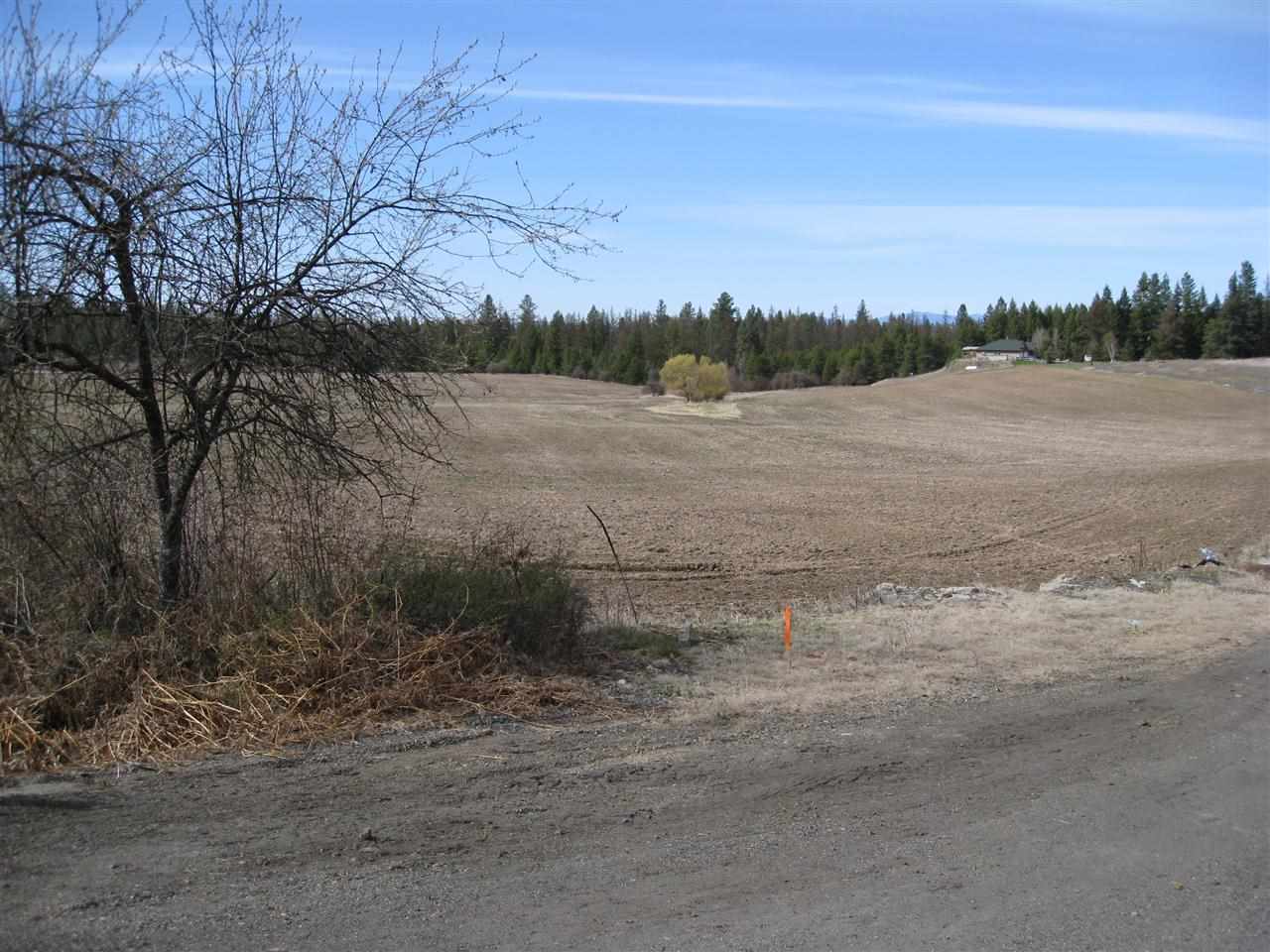 68-xx East Bernhill Road Colbert, WA 99005 - Photo 6 of 11