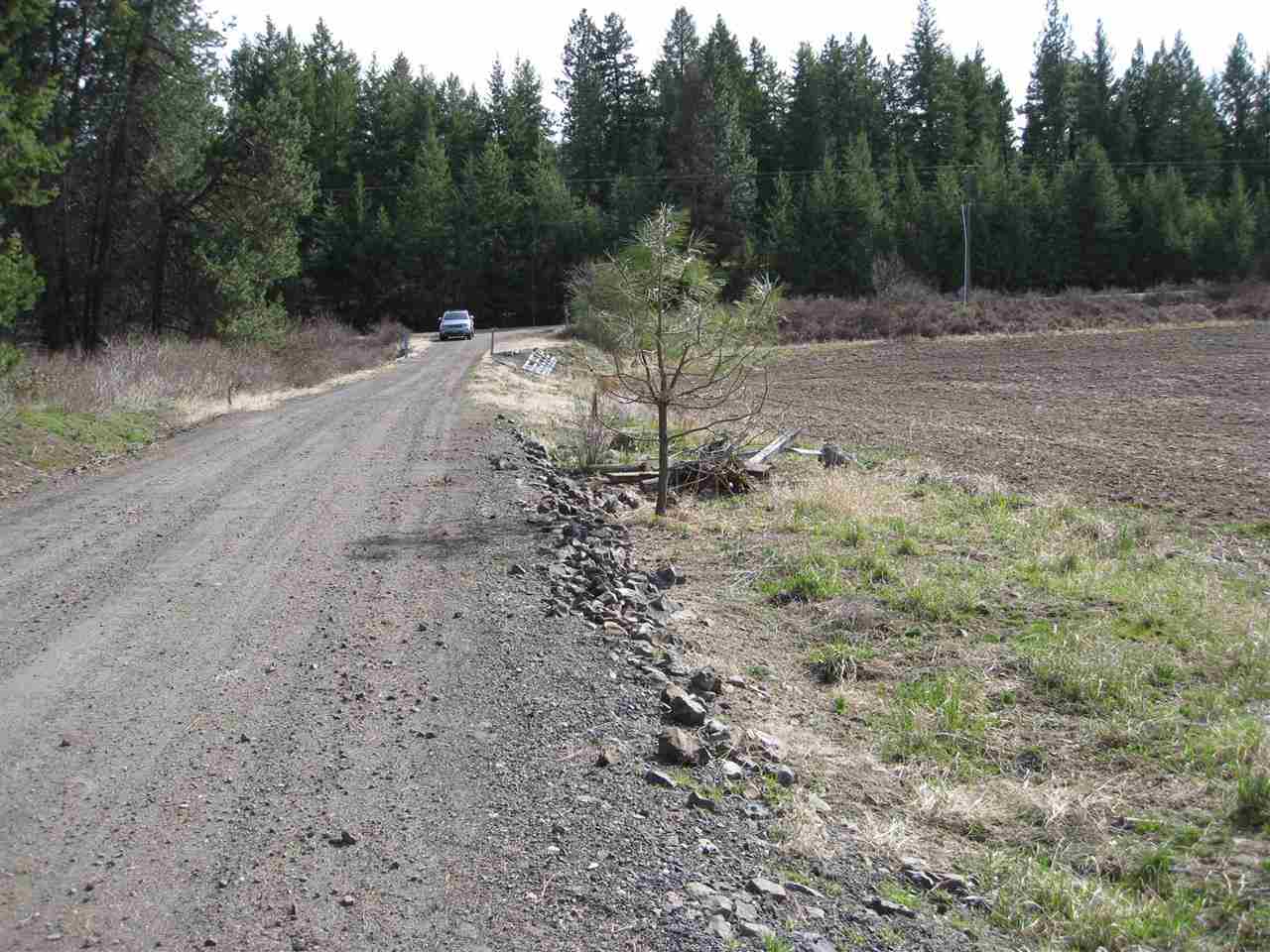 68-xx East Bernhill Road Colbert, WA 99005 - Photo 7 of 11