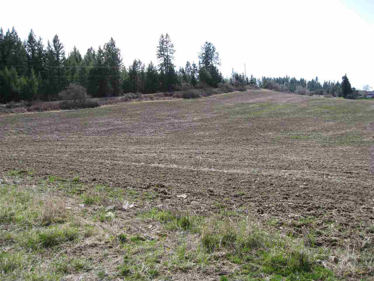 68-xx East Bernhill Road Colbert, WA 99005 - Photo 8 of 11