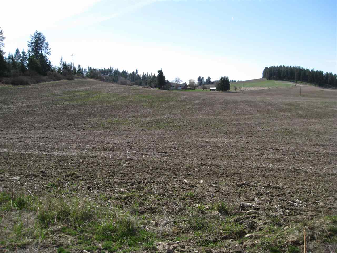 68-xx East Bernhill Road Colbert, WA 99005 - Photo 9 of 11