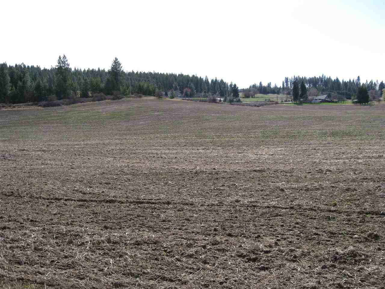 68-xx East Bernhill Road Colbert, WA 99005 - Photo 10 of 11