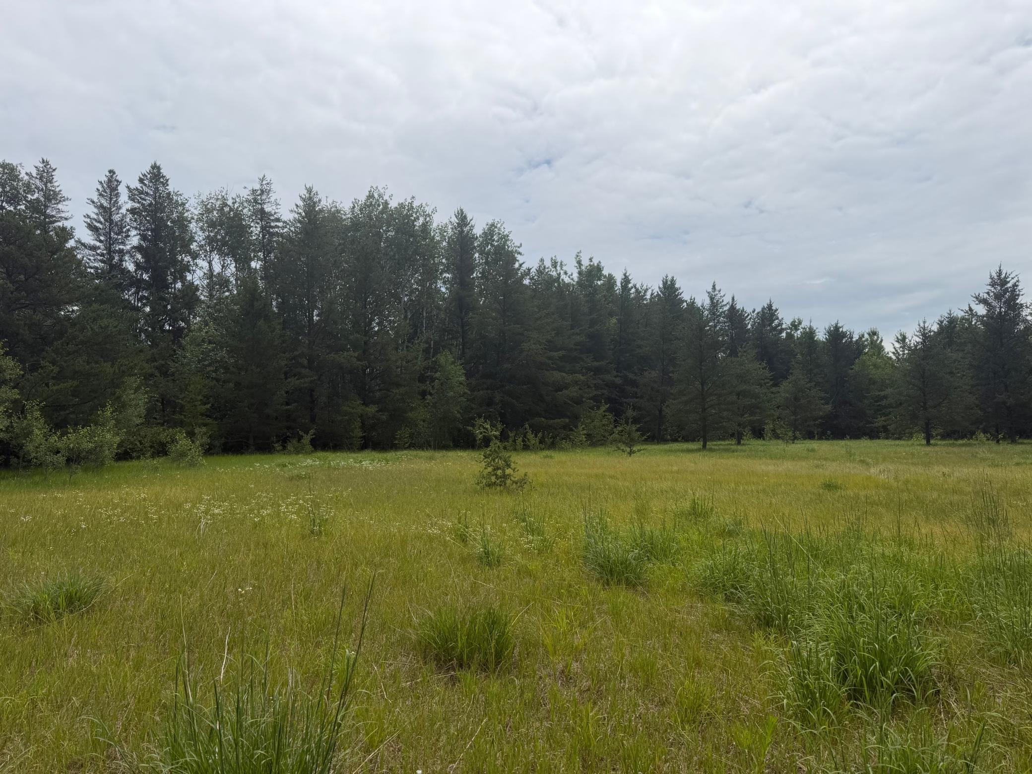 Tbd 350th Street Sebeka, MN 56477 - Photo 56 of 100