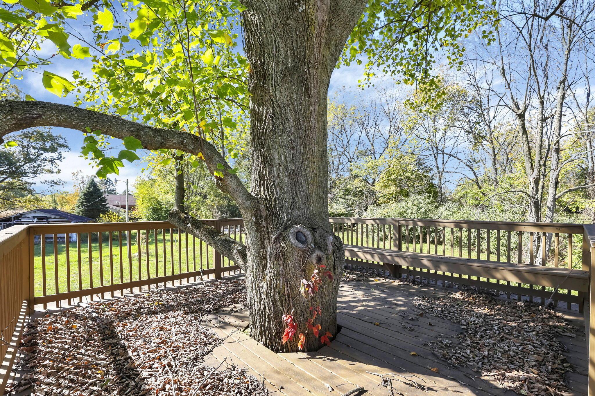 108 Markley Road London, OH 43140 - Photo 17 of 22 10-web-or-mls-108-markley-rd
